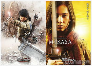 色彩转转转工程车快乐识颜色